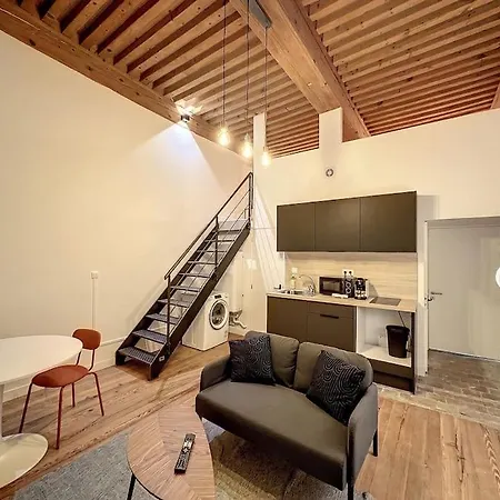 Apartment Cosy Appt, Croix Rousse Duviard 1